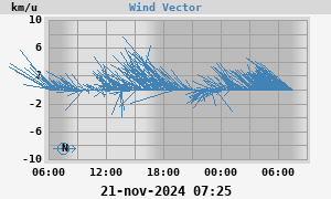 Wind Vector